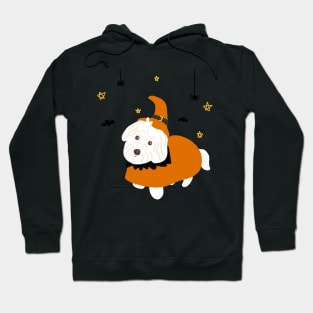 Halloween Maltipoo Dog Hoodie